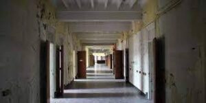 weird asylum noise download