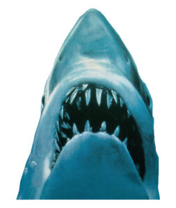 you're going to need a bigger boat download