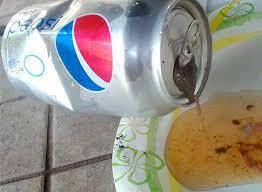 Dead Frog Inside Pepsi Can download