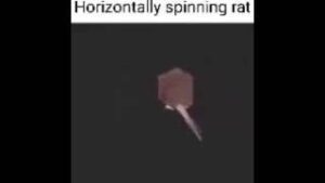 Horizontally spinning rat download