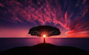 baiana download