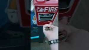 school fire drill download