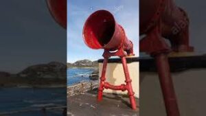 Foghorn download