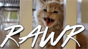 Raawwwwrrrrrr meme sound download