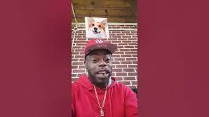 Which Bomboclat dog i am download
