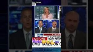 Womp Womp news reporter download