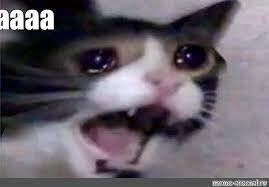 aaaaaa loud download