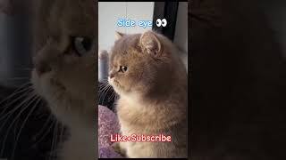 bombastic side eye meme sound download
