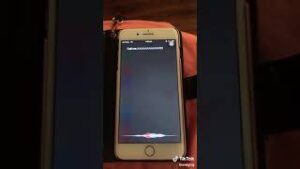 siri moans download