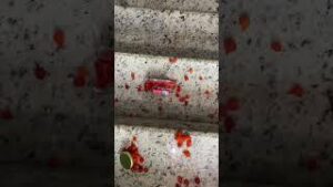 Asmr glass breaking down stairs satisfying download