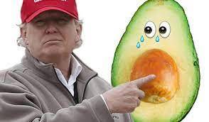 Avocados from Mexico meme download