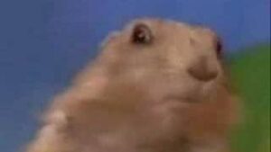 Dramatic chipmunk meme download
