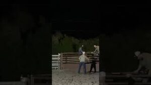 He is a 7 million dollar bull rider download