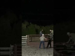 He’s 7 million dollar bull rider meme download