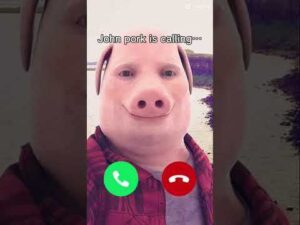 John Pork is calling a third time sound download