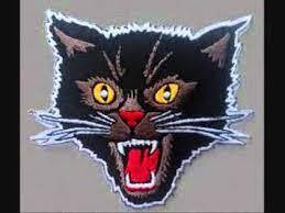 cat screaming sound effect download