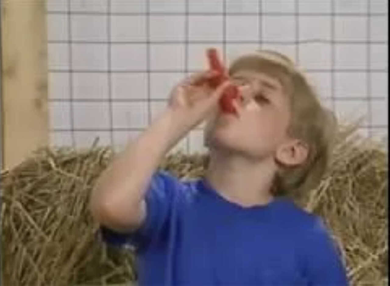 kazoo kid sound effect download