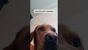 mama may I have cookie meme sound download