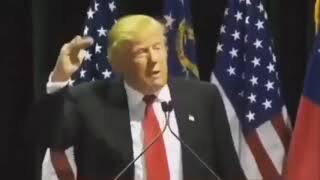 And we say bye bye Donald Trump download