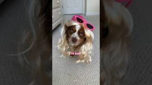 Hi Barbie Hi Ken Dog Version download