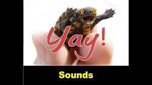 yay sound meme download