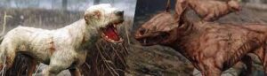 Eyeless dog sound effect