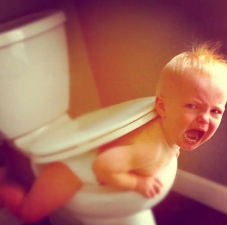 Trapped in Toilet