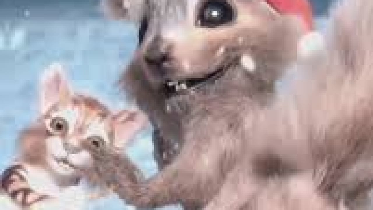 squirrel IT'S TIME!!