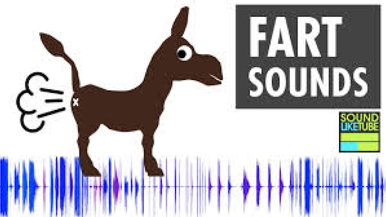 Fart DJ Remix sound effect