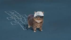 NOT LIKE US UIA CAT