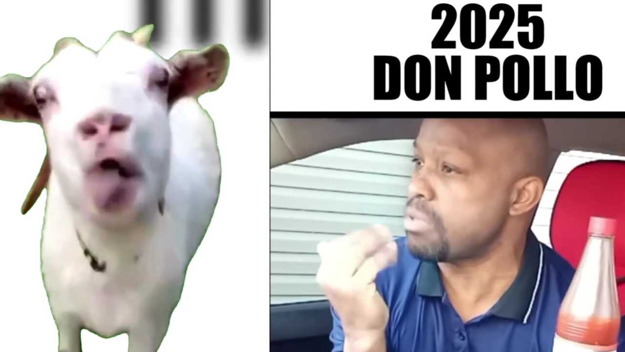 Don Pollo Bla Bla Bla Ble Ble Ble