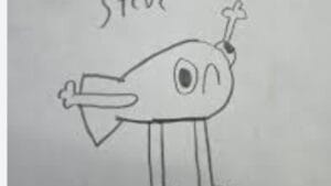 Steve Lu