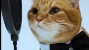 Dopamine Cat meme sound