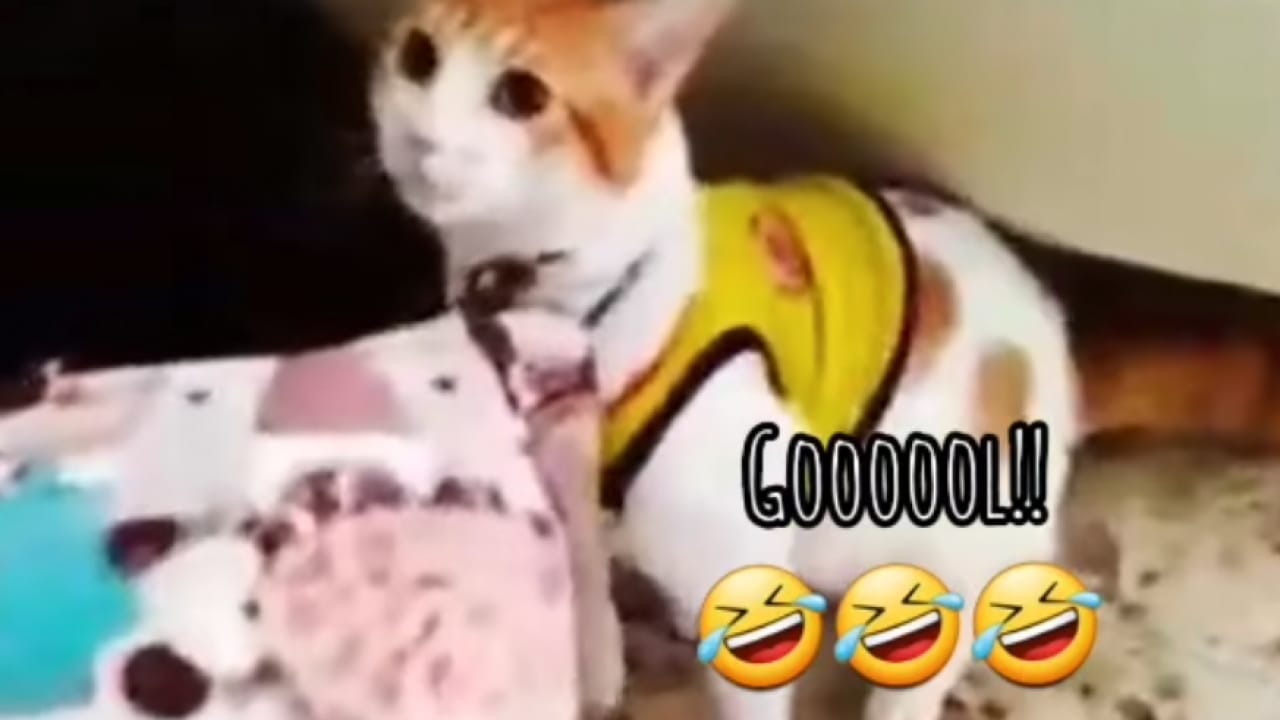gooool Meme Sound Effect