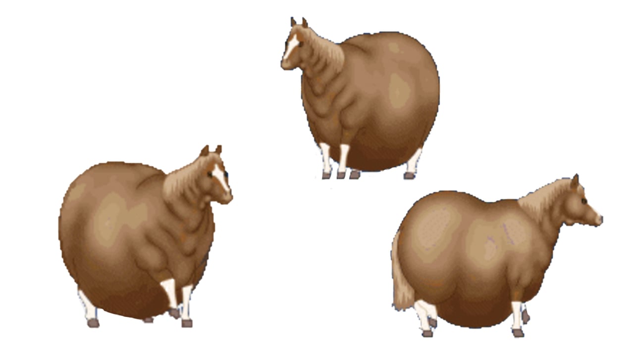 Spinning Horse sticker sound effect