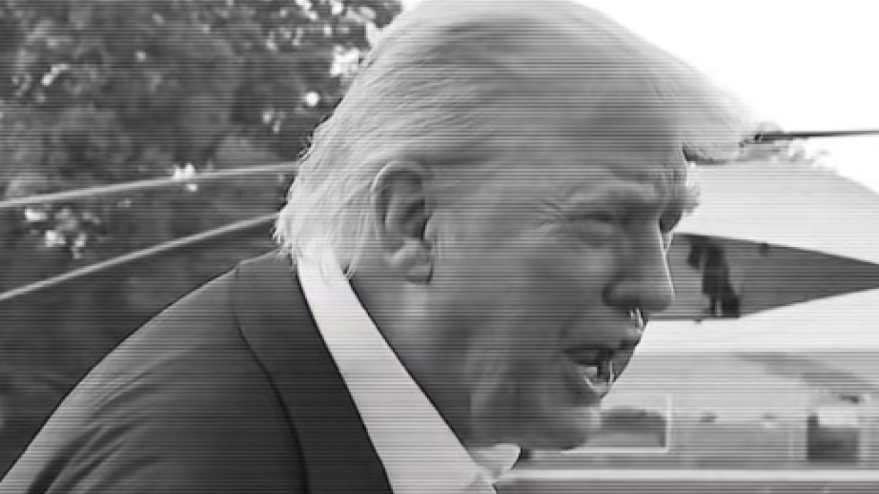 trump they dont know what the f they doing song