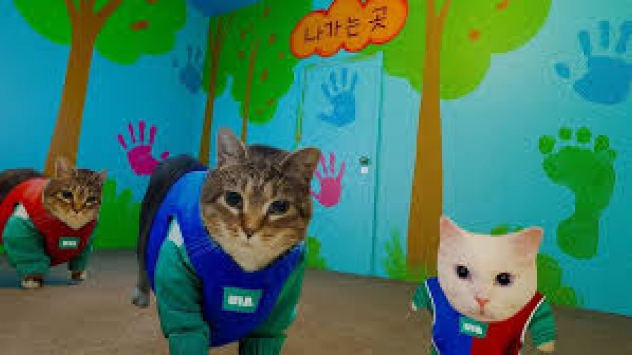 OIIA Cat x Squid Game Season 3 meme sound