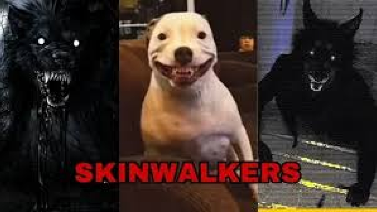 Beep Sound Effect Download Free MP3 Mp3