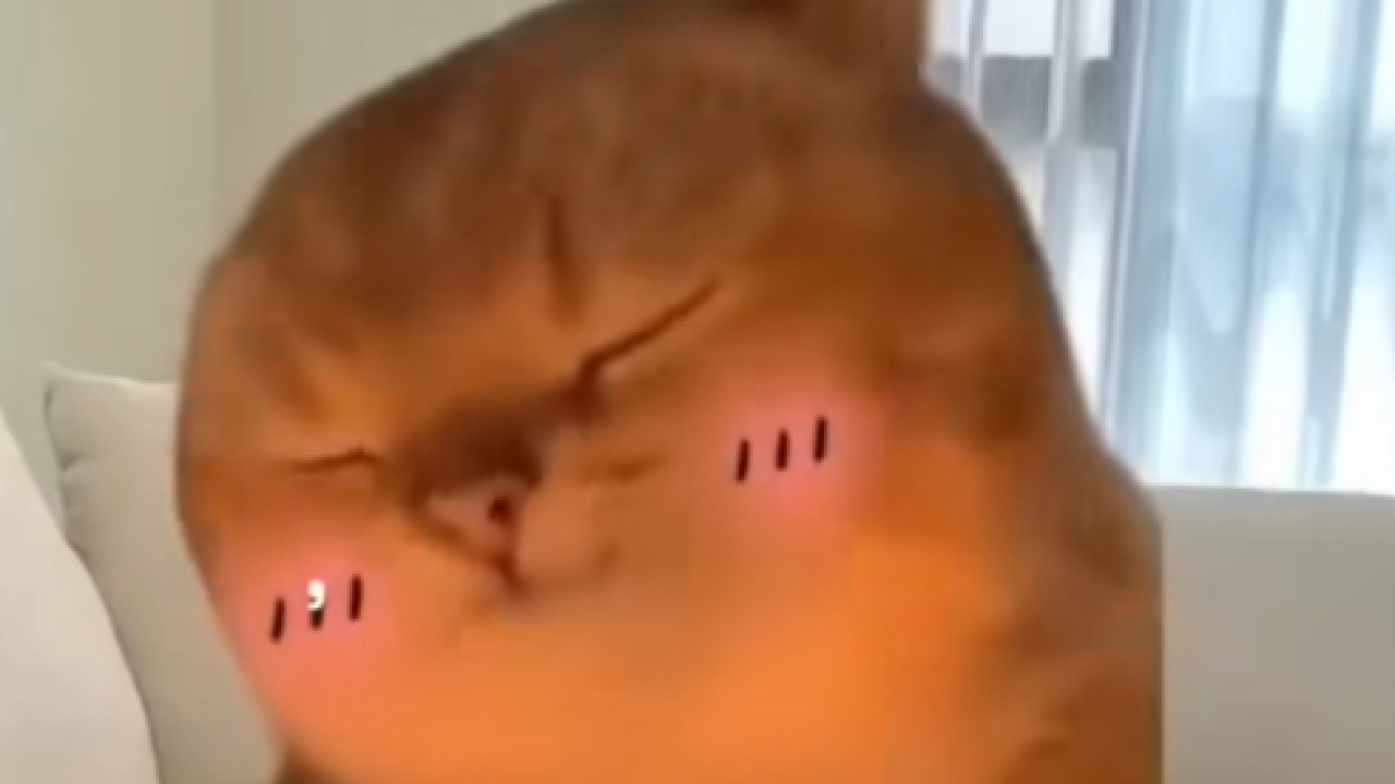 fdfsdf - MP3 Download