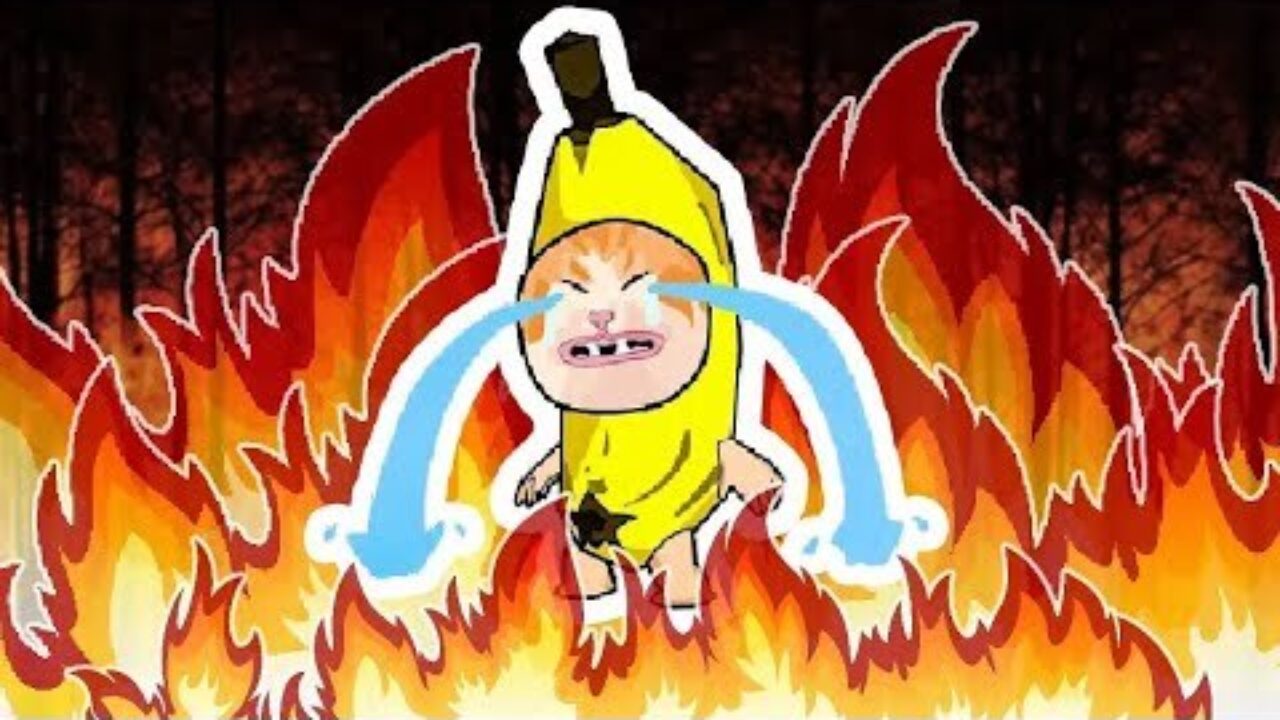 Banana cat put out the fire sound download