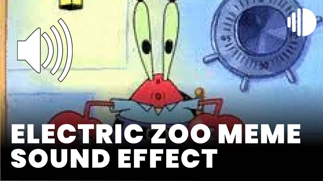 Electric Zoo Meme Sound Effect - MP3 Download