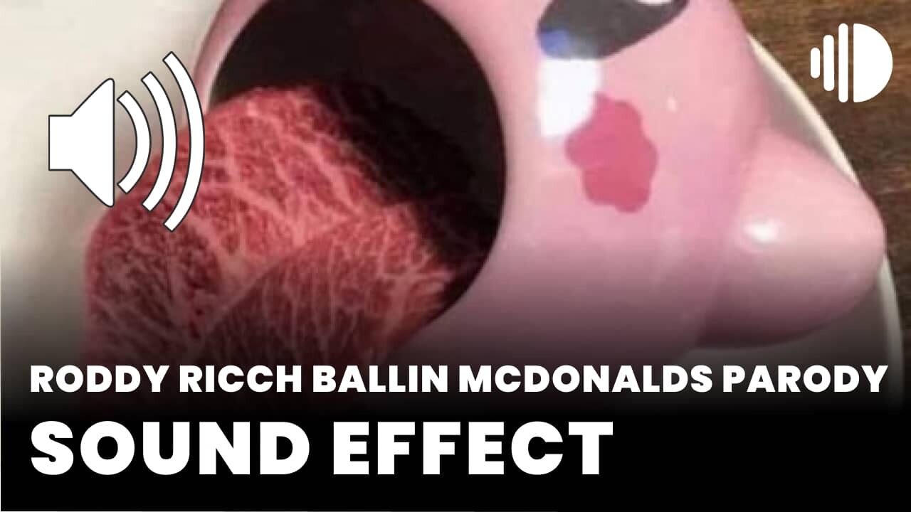 Roddy Ricch Ballin McDonalds Parody - MP3 Download