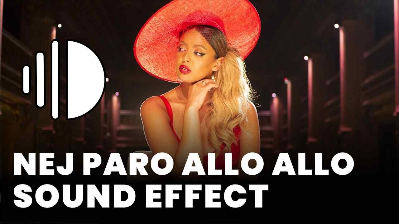 Nej Paro allo allo - MP3 Download