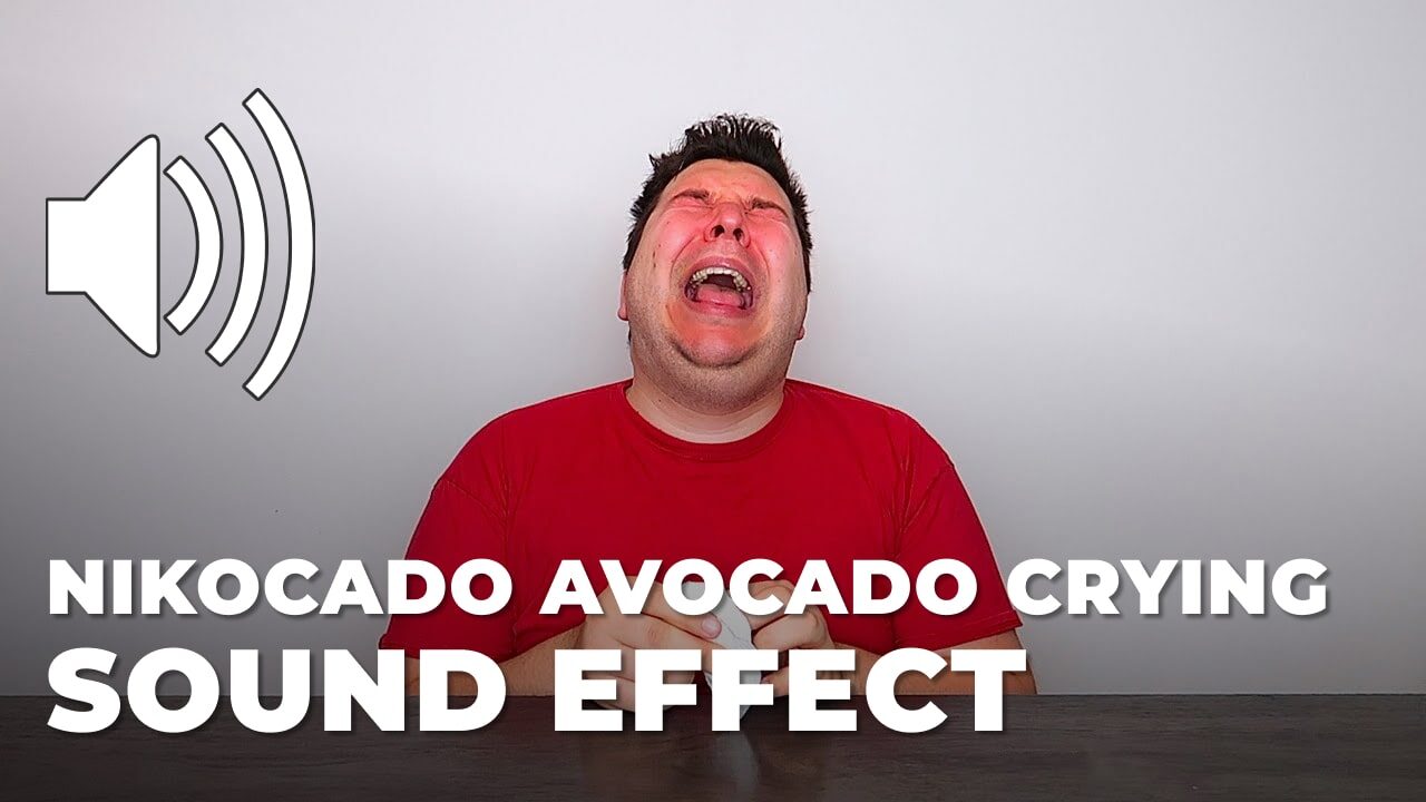 Nikocado Avocado Crying Sound Effect - MP3 Download