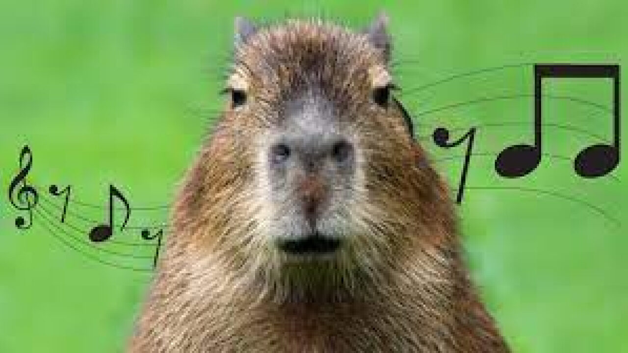 capybara song meme