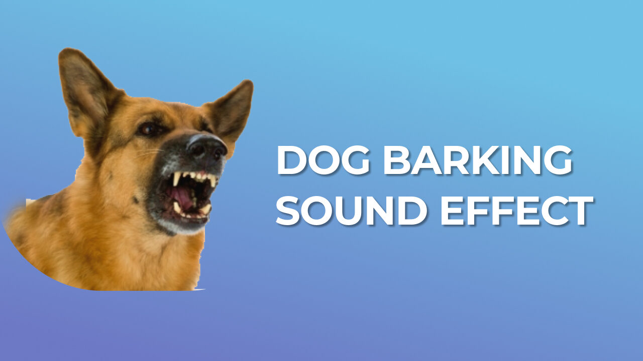 Dog Barking Sound Effect download for free mp3