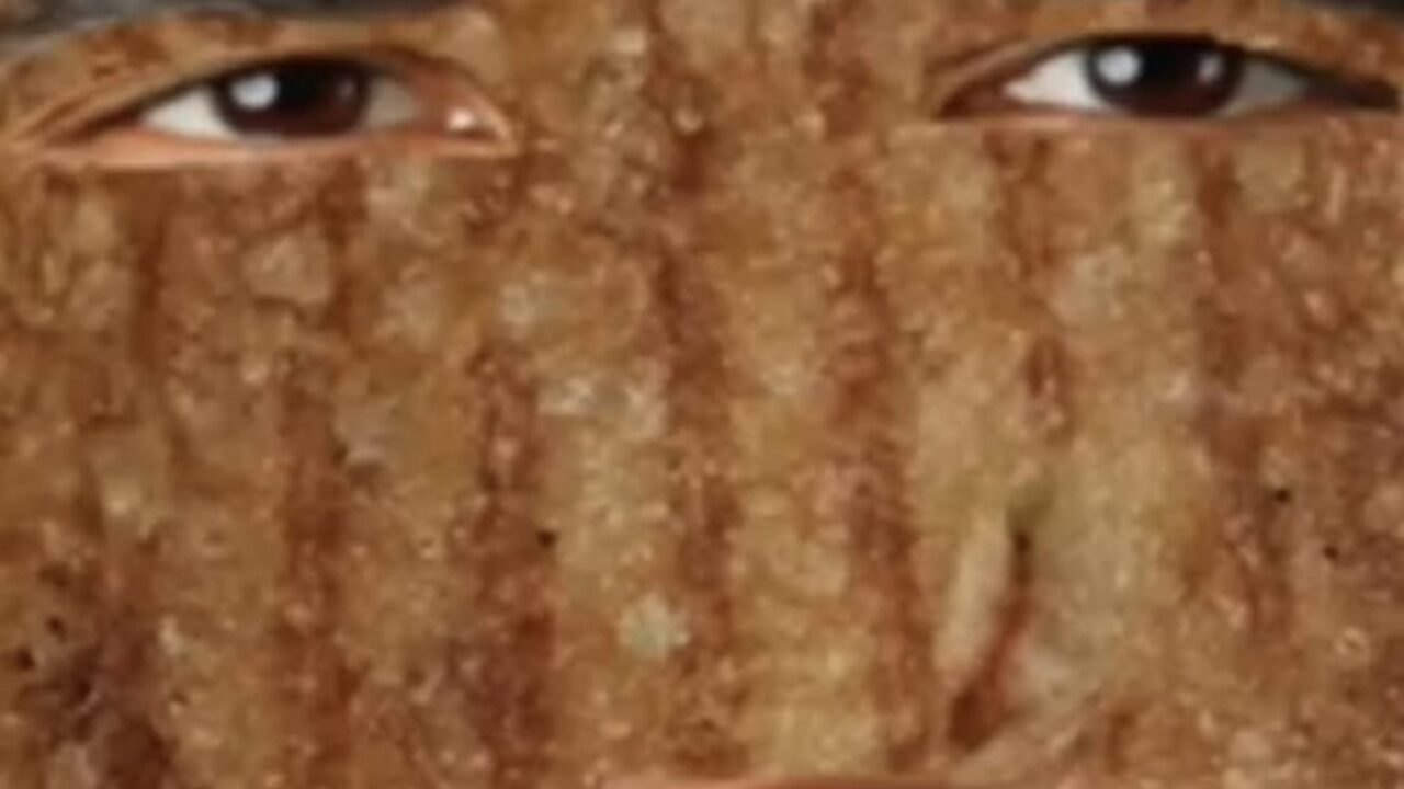 Grilled cheese Obama sandwhich