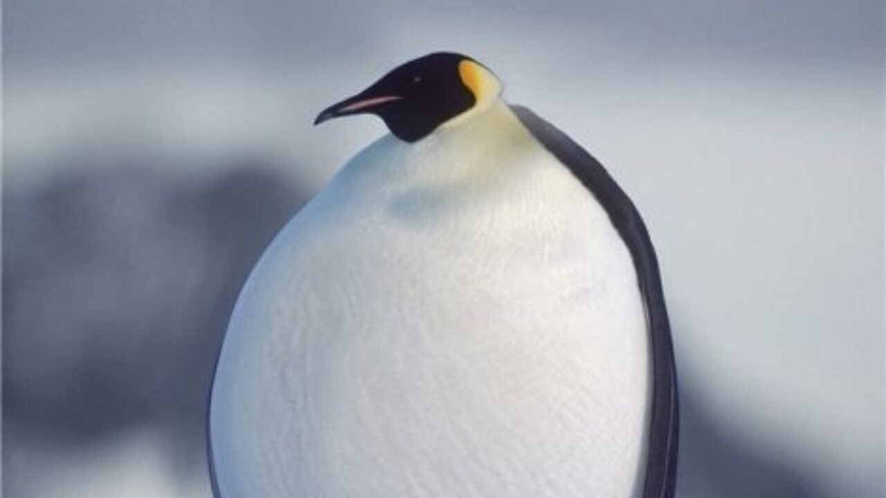 im da biggest bird download