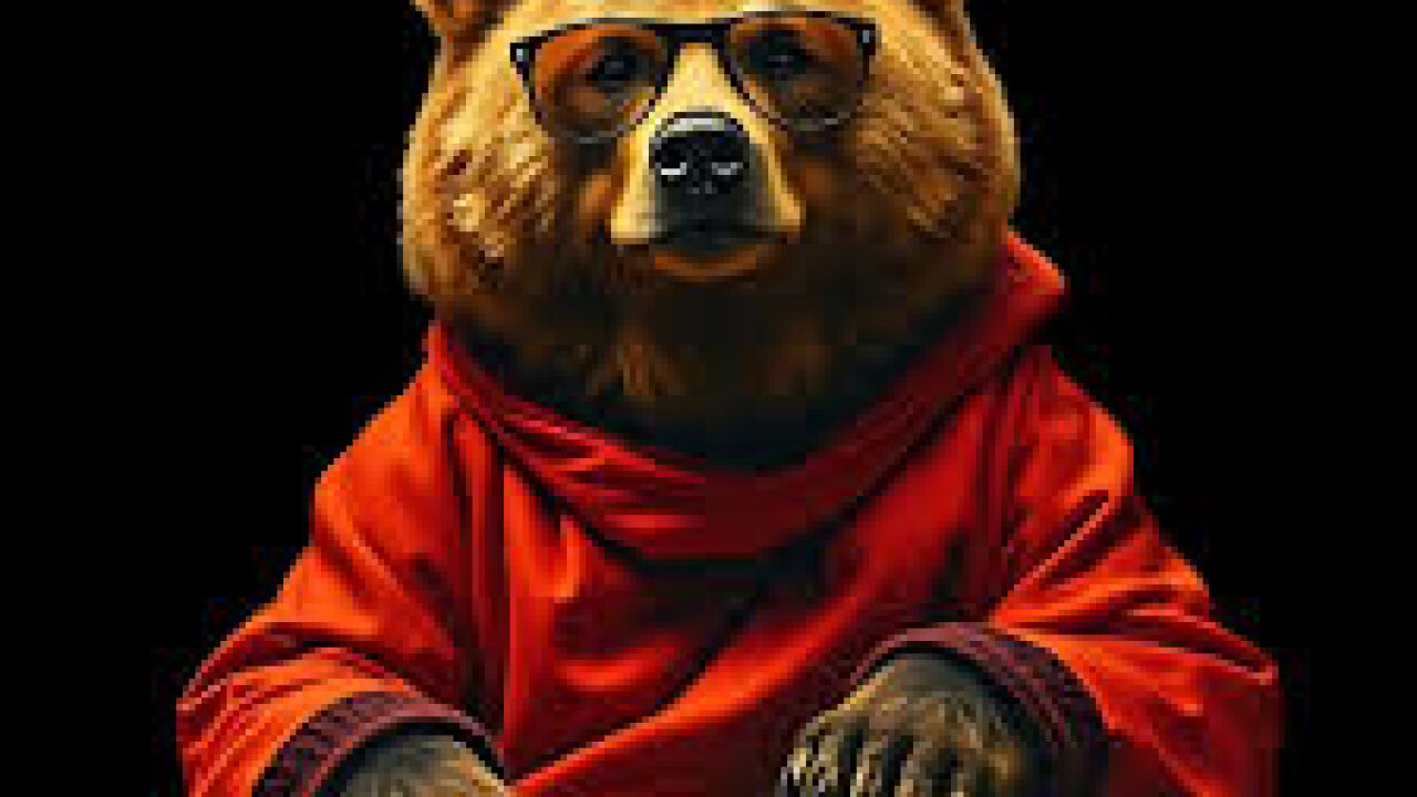 1 AM bear