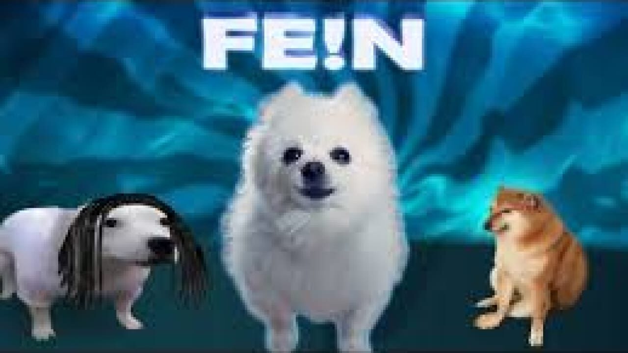 Fein Dog version